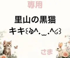 専用
