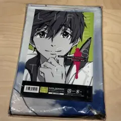 映画ハイスピード Free! Starting Days 橘真琴 等身大ポスターのサムネイル