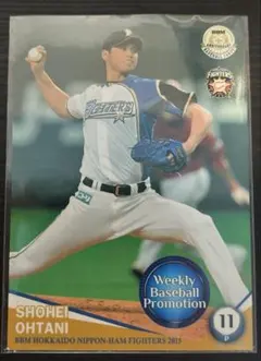 【PSA10】大谷翔平 菊池雄星 2013 BBM ICONS HOPE RC PSA10 大谷翔平 RC 2013 BBM ICONS HOPE #26 菊池雄星 日本ハム
