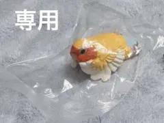 ゆず様　専用ページ