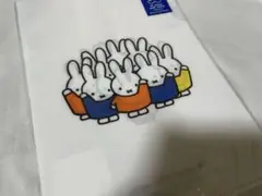 専用ページ