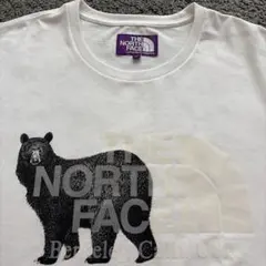 【値下げ！美品】★THENORTHFACEPURPLE LABELベア Tシャツのサムネイル