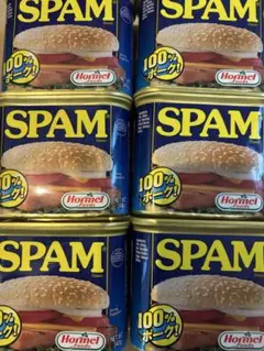 340g×24缶】SPAM スパム ポークランチョンミート 沖縄 缶詰 保存食