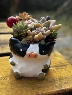 プチハナ様 リクエスト 3点 まとめ商品