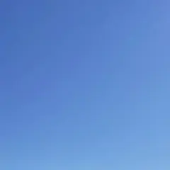 【ねこ様専用】