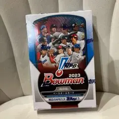 Item thumbnail for item ae46e38d-23dc-48a0-8a66-09303d85fcf3