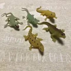 【ジャンク】イグアナ&co 5体セット