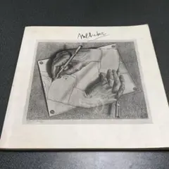 エッシャー　オランダ村エッシャー展画集