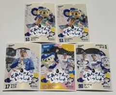 どあらさんといっしょ　ブロマイド5枚セット