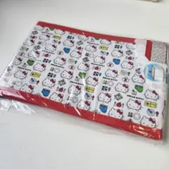 新品 レア キティ 折りたたみ 収納ケース 箱 2014 サンリオ 平成 レトロのサムネイル