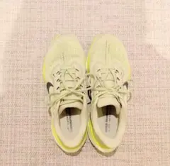 Nike ペガサス41 サイズ24