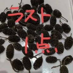 ヤシャブシの実40個くらい