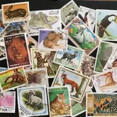 mikko様 リクエスト 3点 まとめ商品