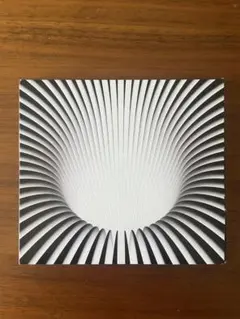 HARRIET TUBMAN "THE TERROR END OF BEAUTY