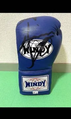 ボクシング グローブ CLETO REYES 畑山隆則 サインつき 私 - メルカリ