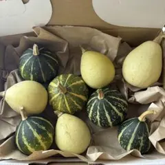 観賞用　おもちゃかぼちゃ　置き物　飾り用　ハロウィン
