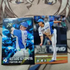 カルビープロ野球チップスカード2026 北海道日本ハムファイターズ