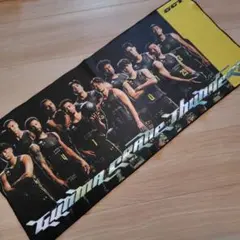 群馬クレインサンダーズ　応援タオル