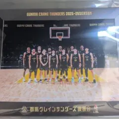 群馬クレインサンダース】記念盾 2022-2023 - メルカリ