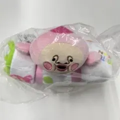 こびとづかん ぬいぐるみ付きブランケット