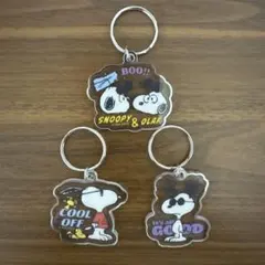 PEANUTS スヌーピー アクリルキーホルダー 3種セット