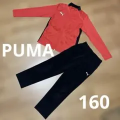 PUMA ジャージ上下　セットアップ　 赤/黒　160