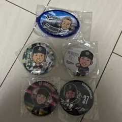 オリックス・バファローズ 石川亮 グッズセット 2026年最新】石川亮選手の人気アイテム - メルカリ