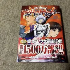 新世紀エヴァンゲリオン (10)