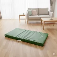 Item thumbnail for item 639abf44-e2b1-47ff-a577-f7d0e9de52b9