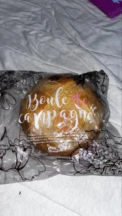 Aoyama Tokyo Squishy Boule de campagne