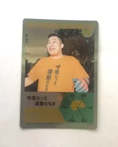 2025年最新】フィッシャーズ カード グリーニアの人気アイテム