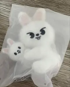 SKZOO MAGNET PLUSH SET Leebit リービット