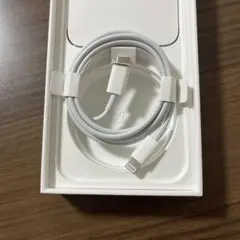 正規品　iPhone Apple 純正　ライトニングケーブル　Type-C