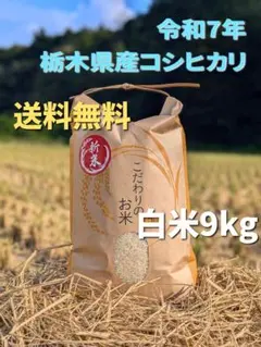 令和7年★農家直送★ホタルの里のお米★栃木県産★コシヒカリ★9kg