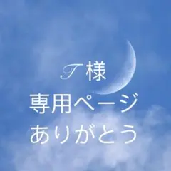 I様専用ページ　49g