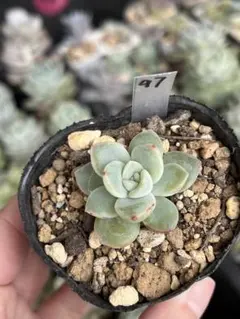 ガレージM様 リクエスト 3点 まとめ商品