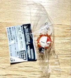 BLEACH ブリーチ　めじるしアクセサリー2 破面篇　黒崎一護