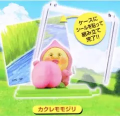 こびとづかん★こびと採取BOX☆カクレモモジリ★フィギュア☆透明ケース
