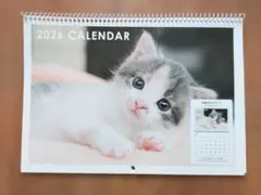 Item thumbnail for item 07c37eb1-08e6-49a0-9b8e-94137e159d23