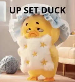 2025年最新】ups duckの人気アイテム - メルカリ