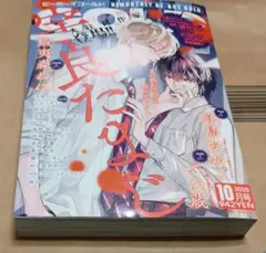 最新号 BE・BOY GOLD ビーボーイゴールド 2025年10月号