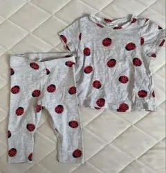H&M テントウムシ柄 セットアップ