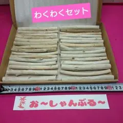 流木セットno.373