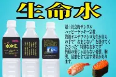 生命水 超社会的サンダル 新品未開封
