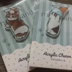 猫カフェmocha めじるしチャーム アルシェ大宮店 - メルカリ