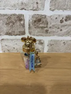 ディズニー Wishing Bottle キーホルダー　ディズニーランド