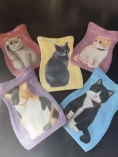 Item thumbnail for item 00bc0ae9-5b17-440c-923d-753f0dafb127