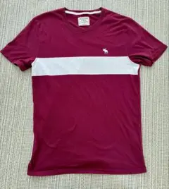Abercrombie&Fitch メンズ Tシャツ Sサイズ(M相当)