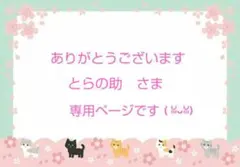 とらの助様　専用ページです　 ♡⁠˖⁠꒰⁠ᵕ⁠༚⁠ᵕ⁠⑅⁠꒱