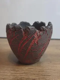 2025年最新】鶴仙園 鉢の人気アイテム - メルカリ